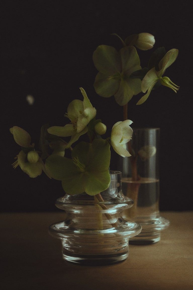 2-Pack Glass Mini Vases