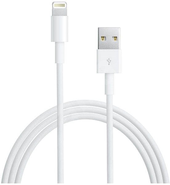 Apple Lightning to USB Cable 0.5m