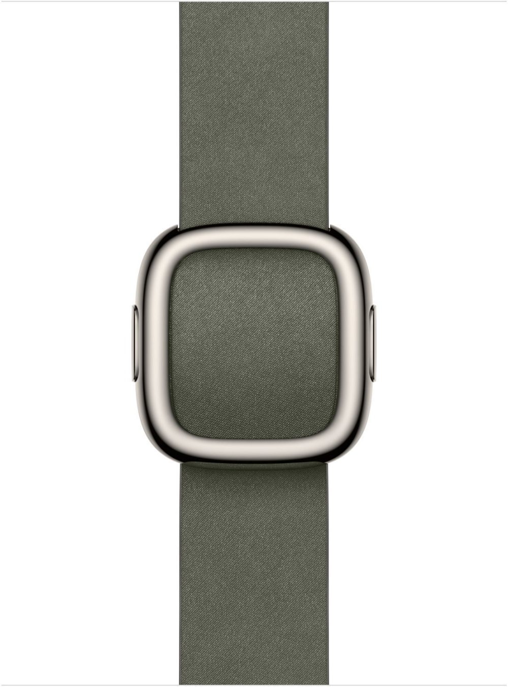 Apple Watch 42mm Sage Grey with Modern Buckle - Small