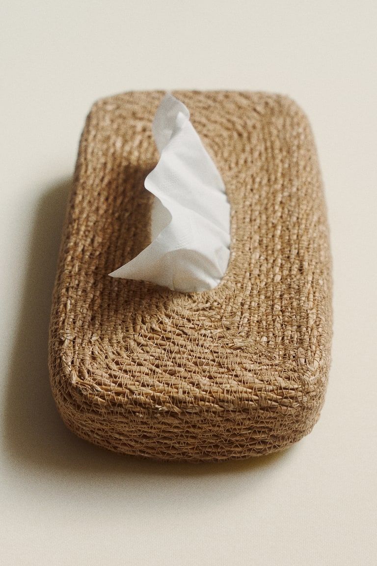Case for Cleansing Wipes
