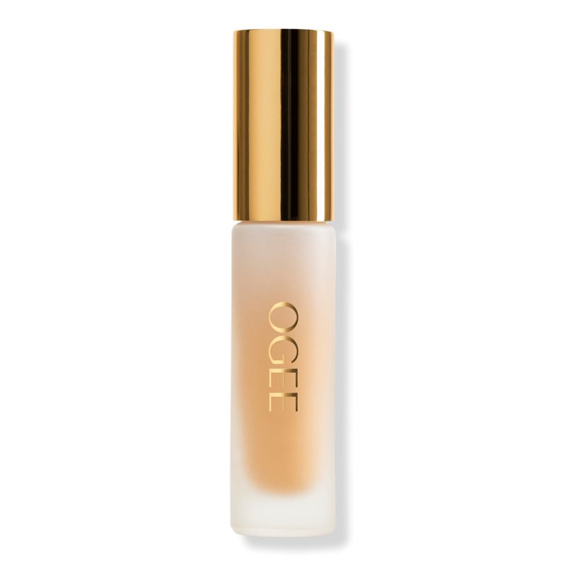Complexion Perfecting Concealer - Banyan 2.75W