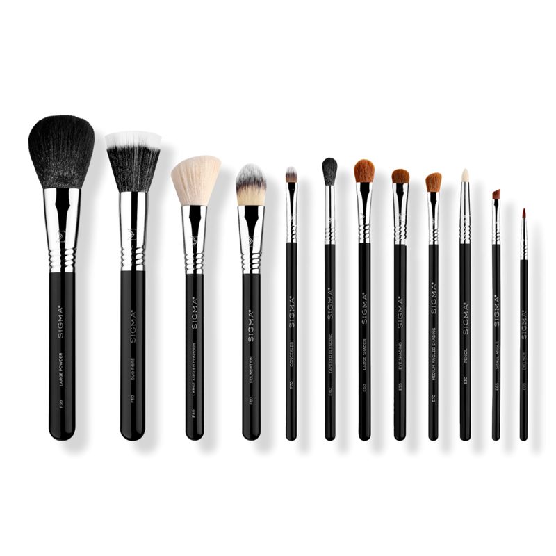 Essential Brush Set