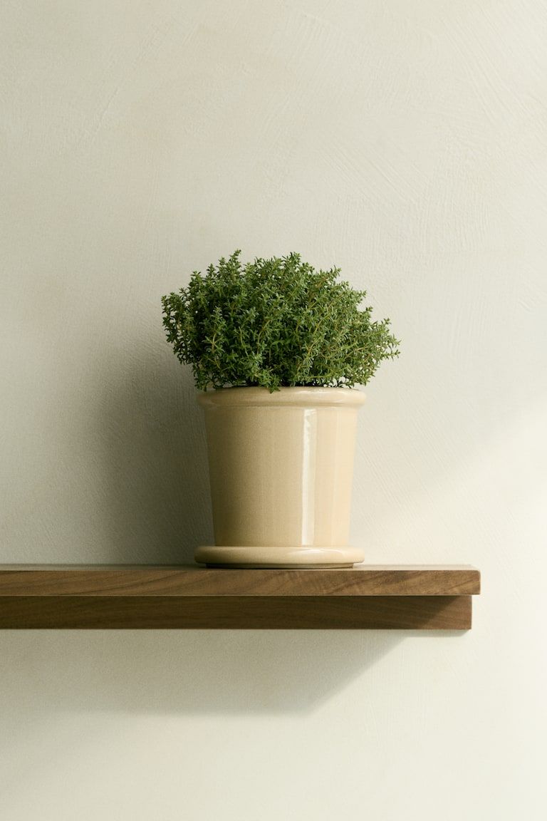 Extra-Small Stoneware Plant Pot with Saucer