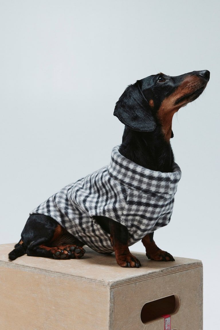 Fleece Top for Dog