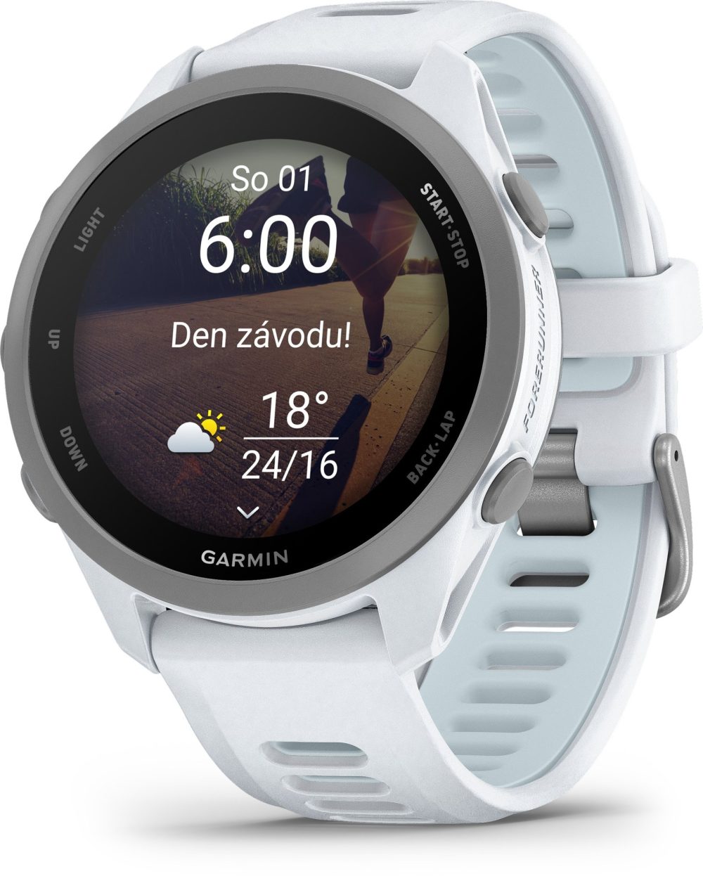 Garmin Forerunner 170 Whitestone/Cloud Blue