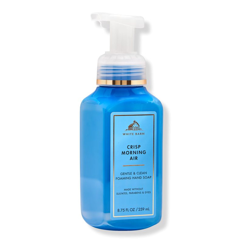 Gentle & Clean Foaming Hand Soap - Crisp Morning Air