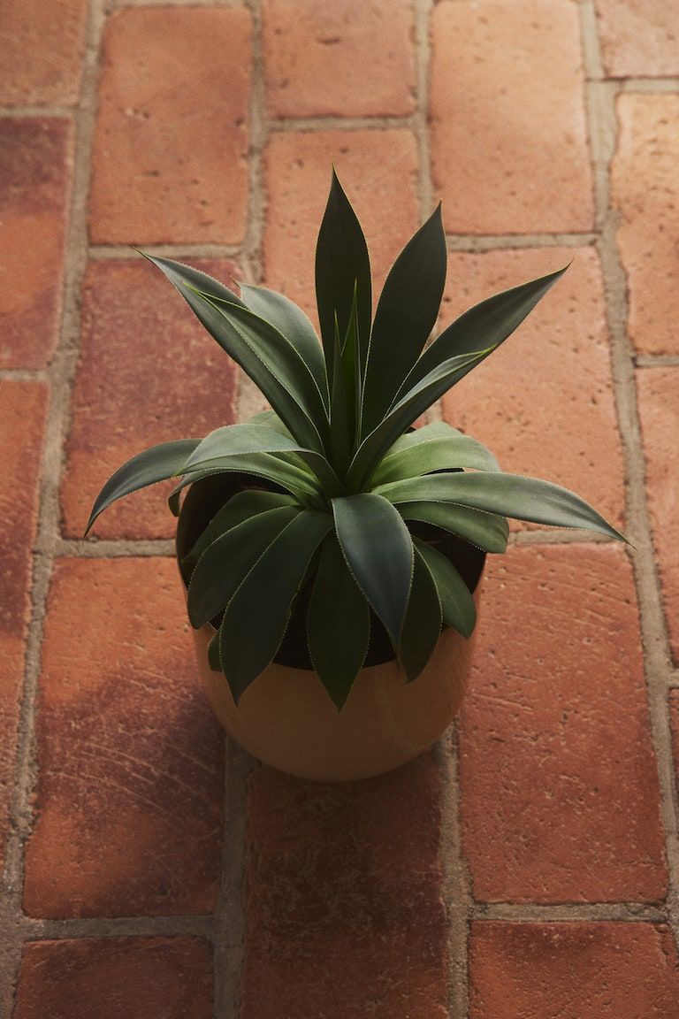 Large Metal Plant Pot