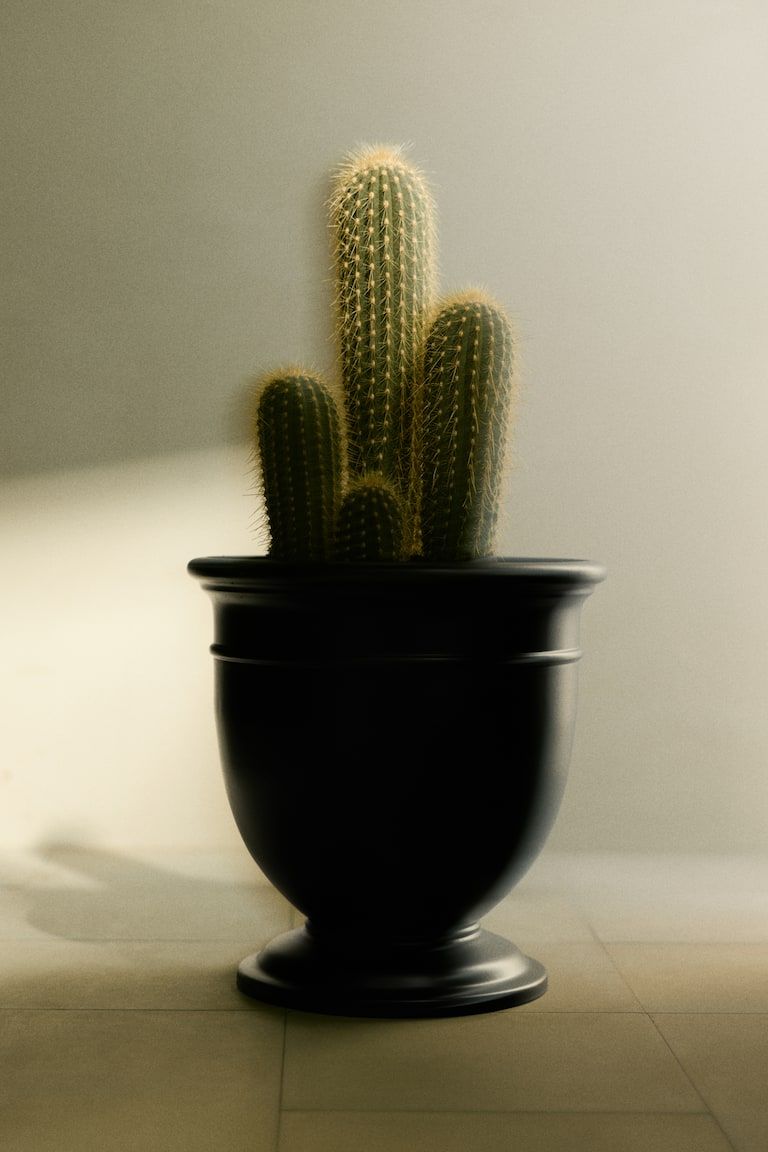 Large Metal Plant Pot