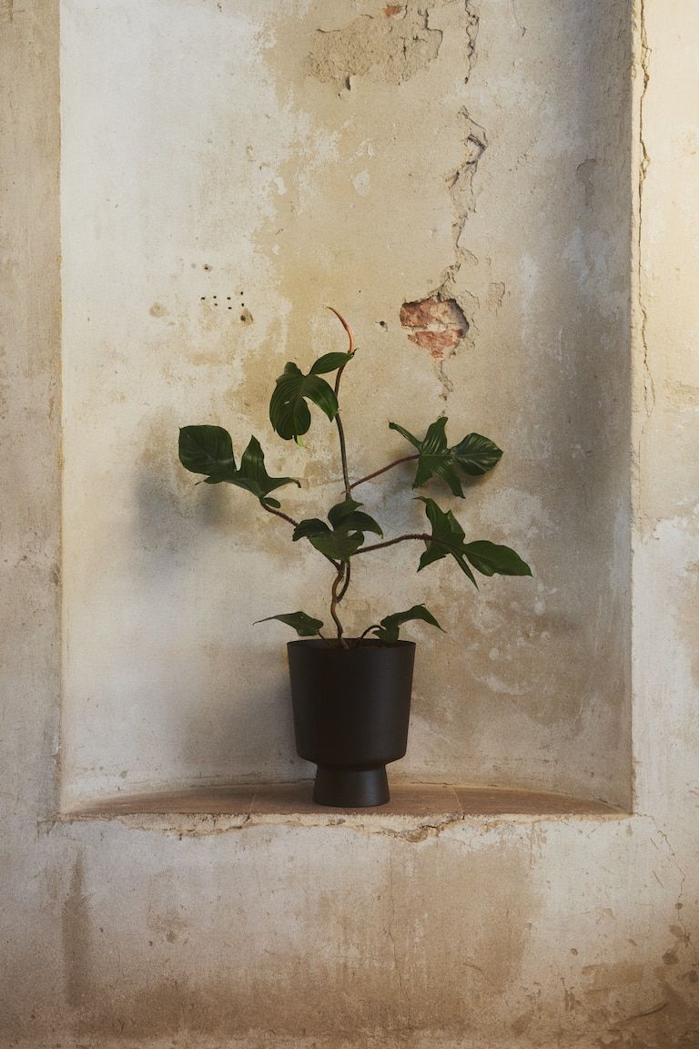 Large Metal Plant Pot