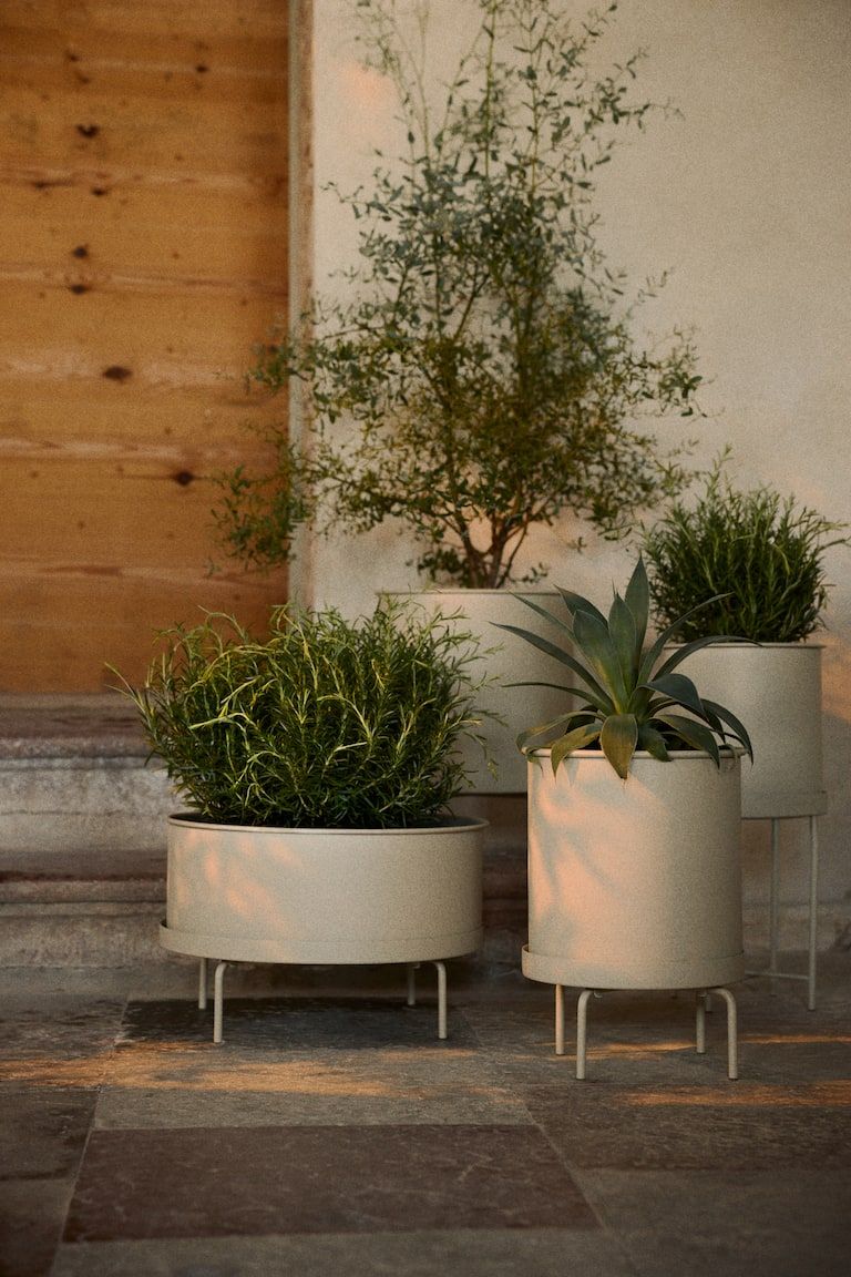 Large Plant Pot on Stand