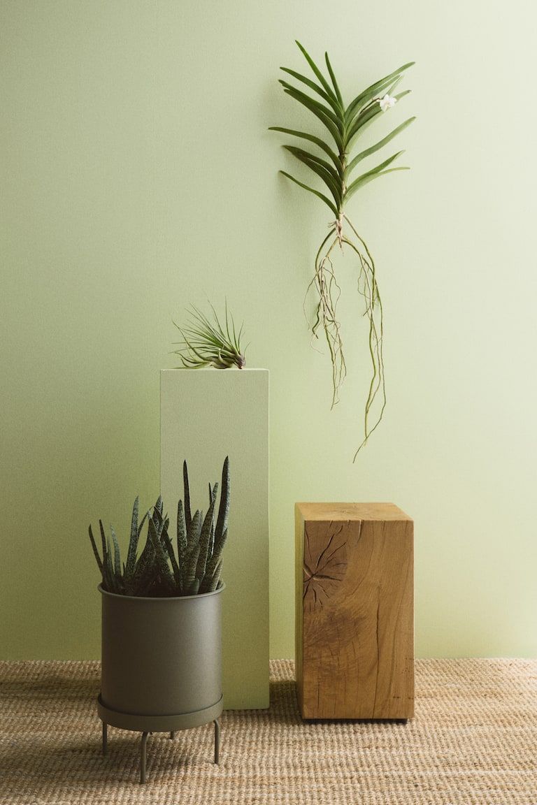 Large Plant Pot on Stand