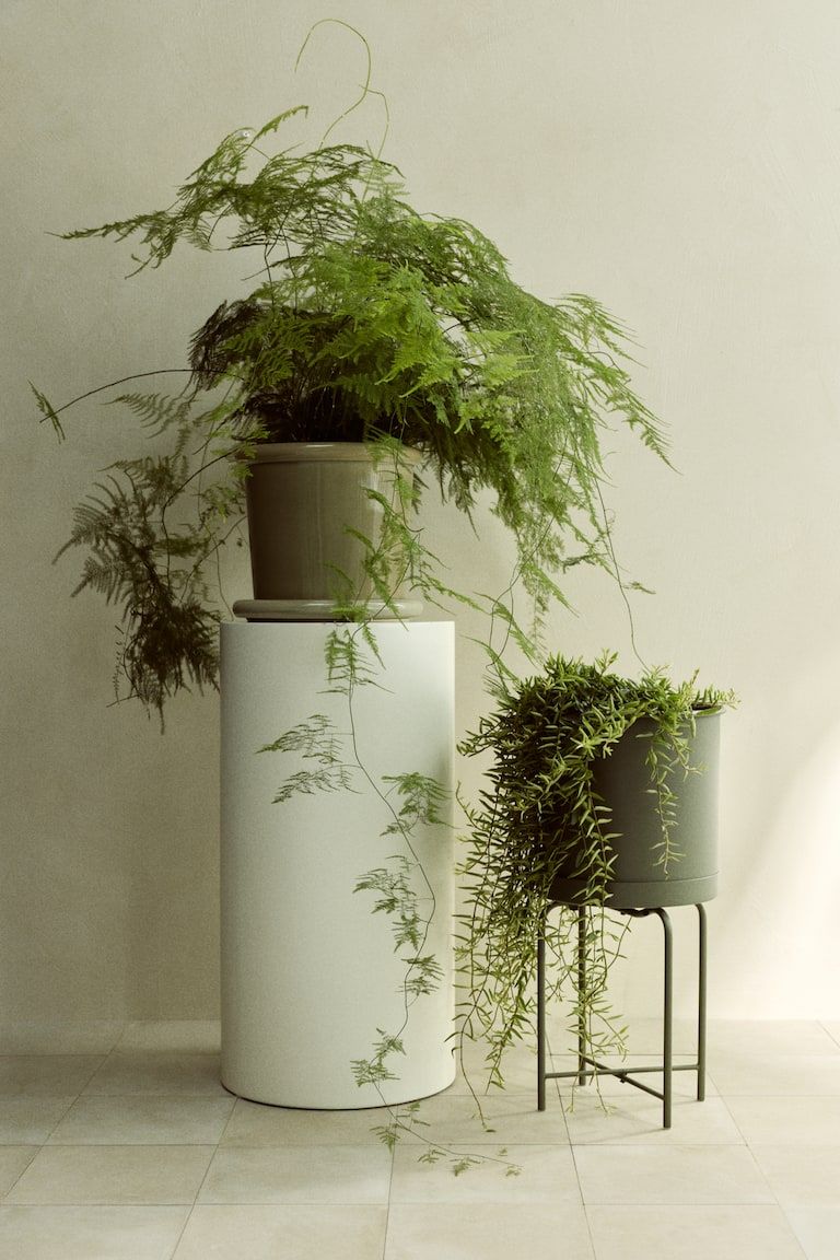 Metal Plant Pot with Stand
