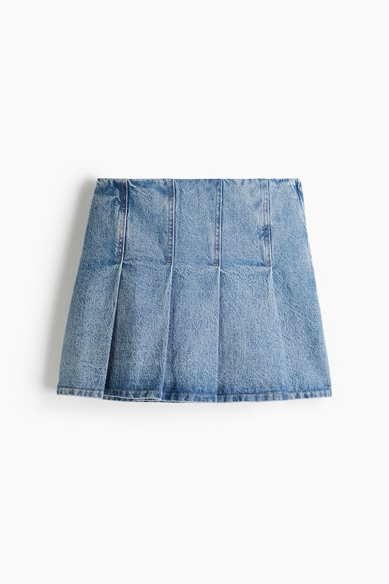 Pleated Skirt