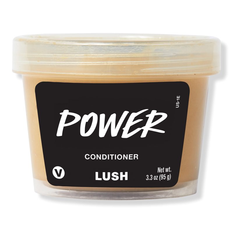 Power Conditioner