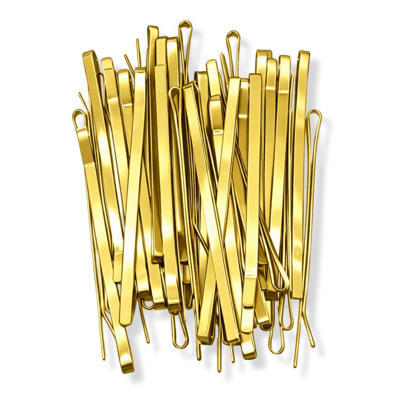 Professional Flat Metal Styling Bobby Pins in Storage Case - Gold