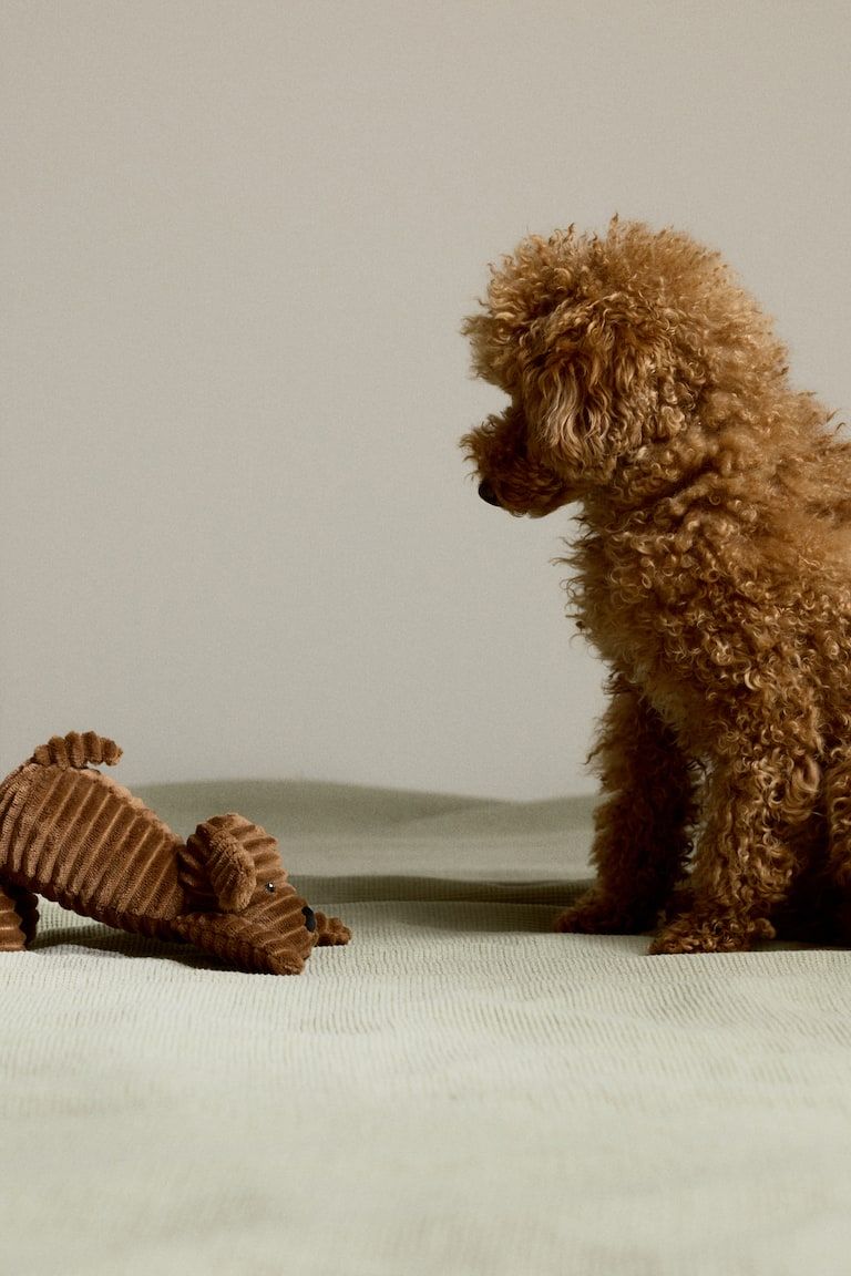 Puppy-Shaped Soft Toy
