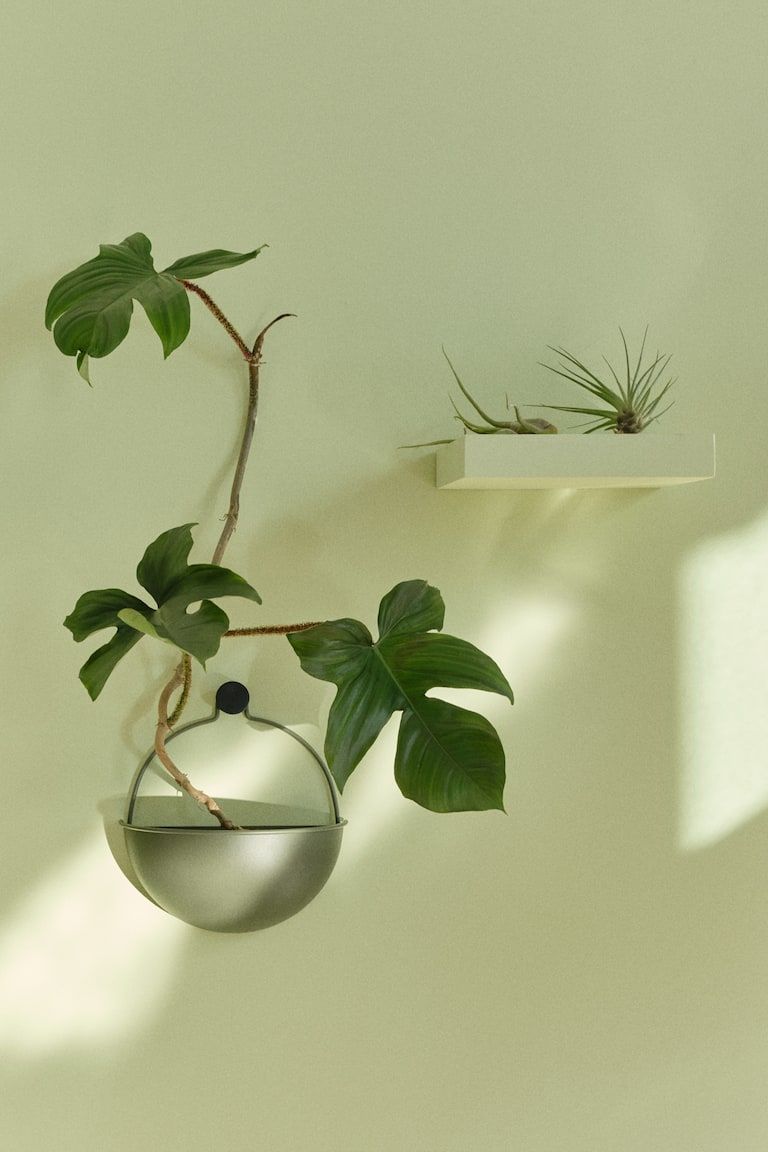 Wall-Mount Plant Pot
