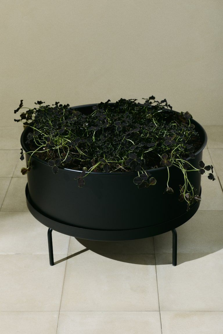 Wide Plant Pot with Stand